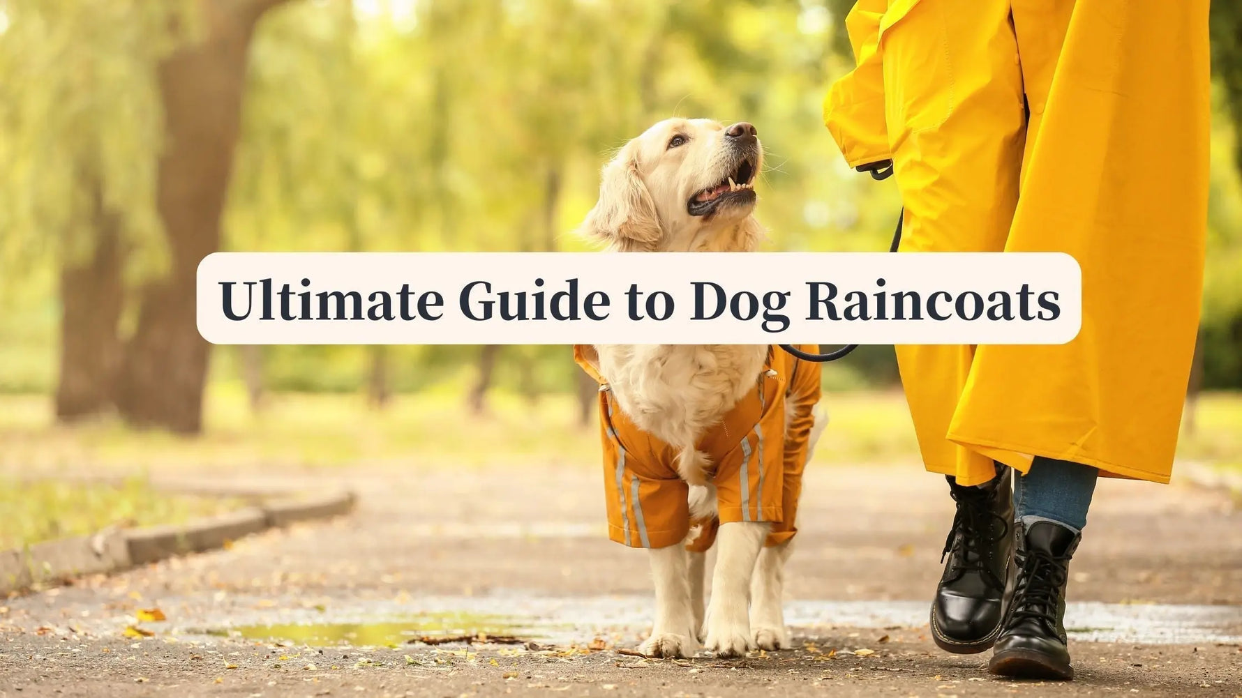 Best dog raincoat for large dogs during rain walk