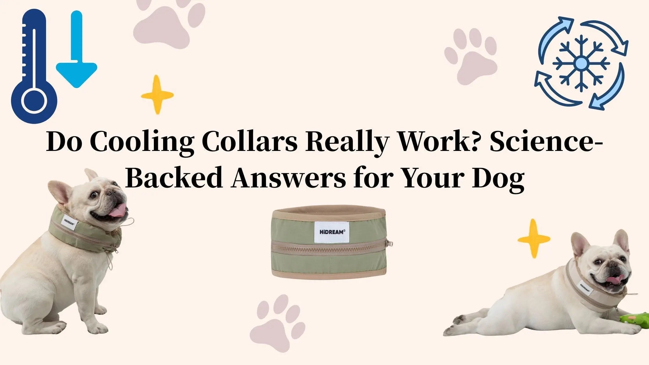 Do Cooling Collars Really Work? Science-Backed Answers for Your Dog