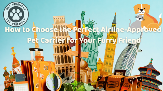 How to Choose the Perfect Airline-Approved Pet Carrier for Your Furry Friend