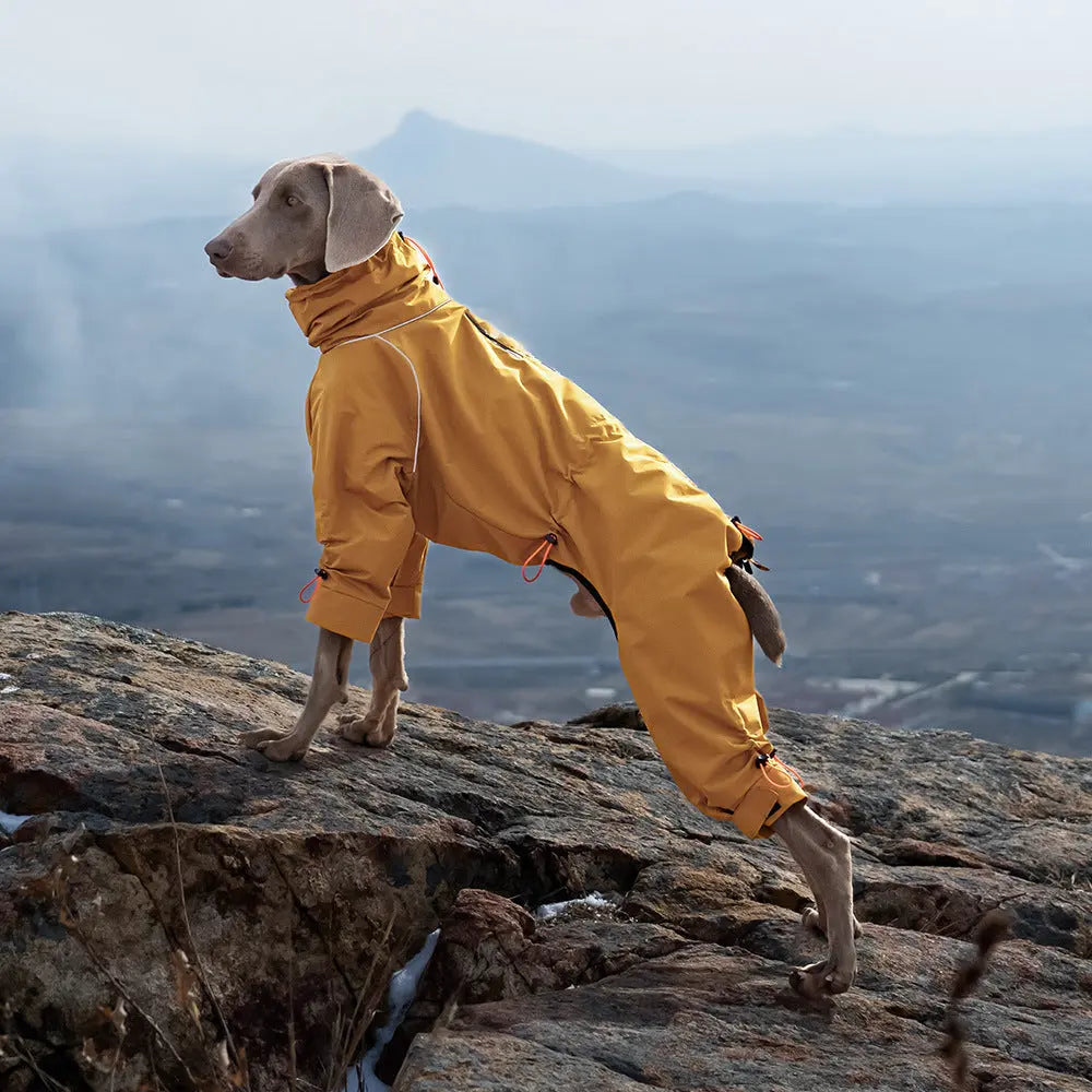Petrkl Dog Rain Coat - Waterproof Dog Coat for All Breeds
