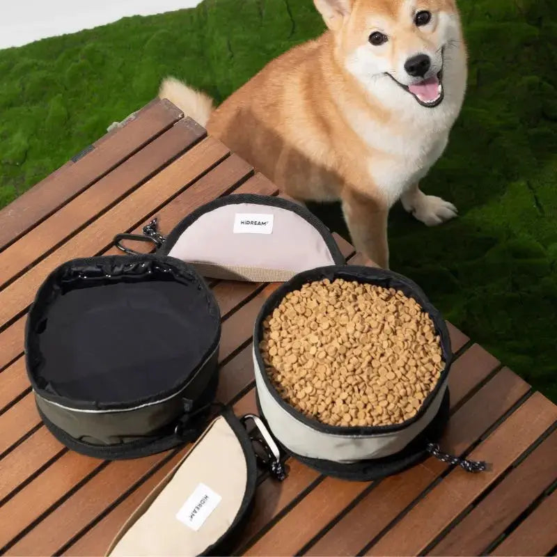 Dog-Bowls-Feeders Petrkl