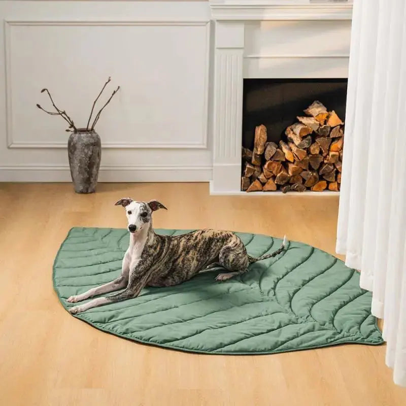 Dog-Blankets-Covers Petrkl