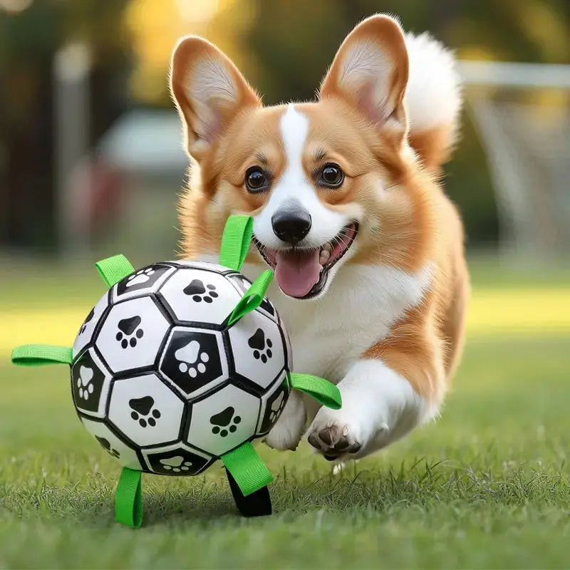 Dog-Toys Petrkl