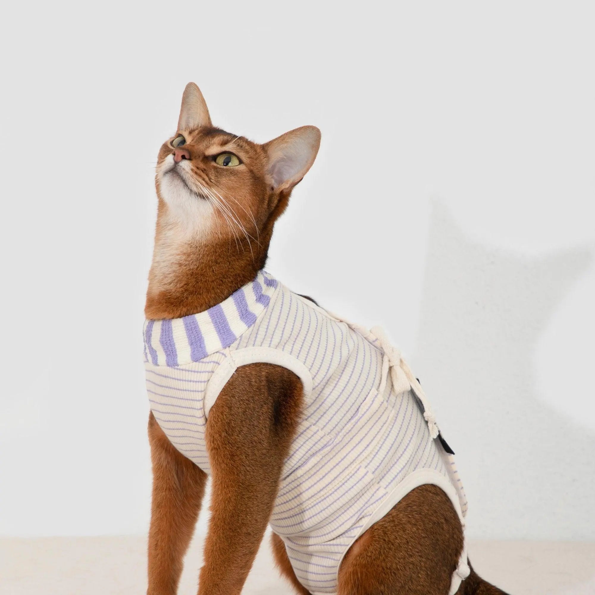 cat care clothes side