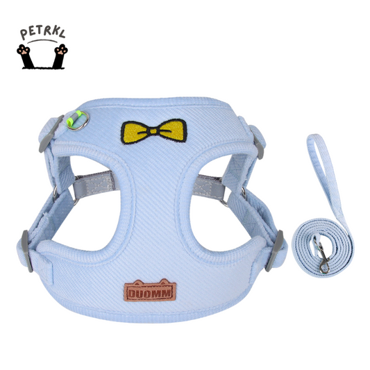 Air BreezeMesh Dog Harness Set