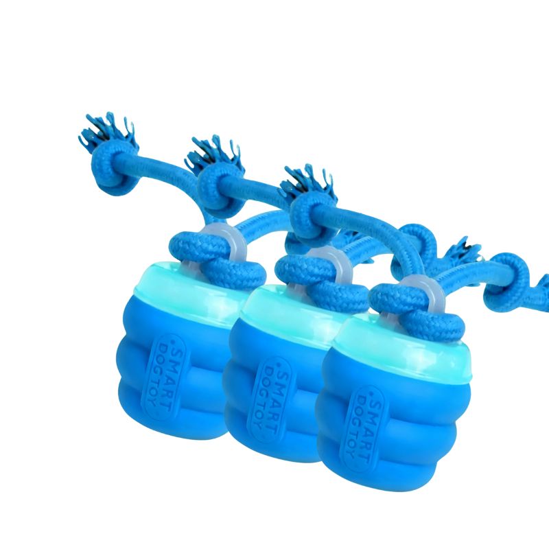 The Chase Buddy™ – Keep Your Dog Calm, Engaged & Satisfied (Even When You’re Busy) PETRKL