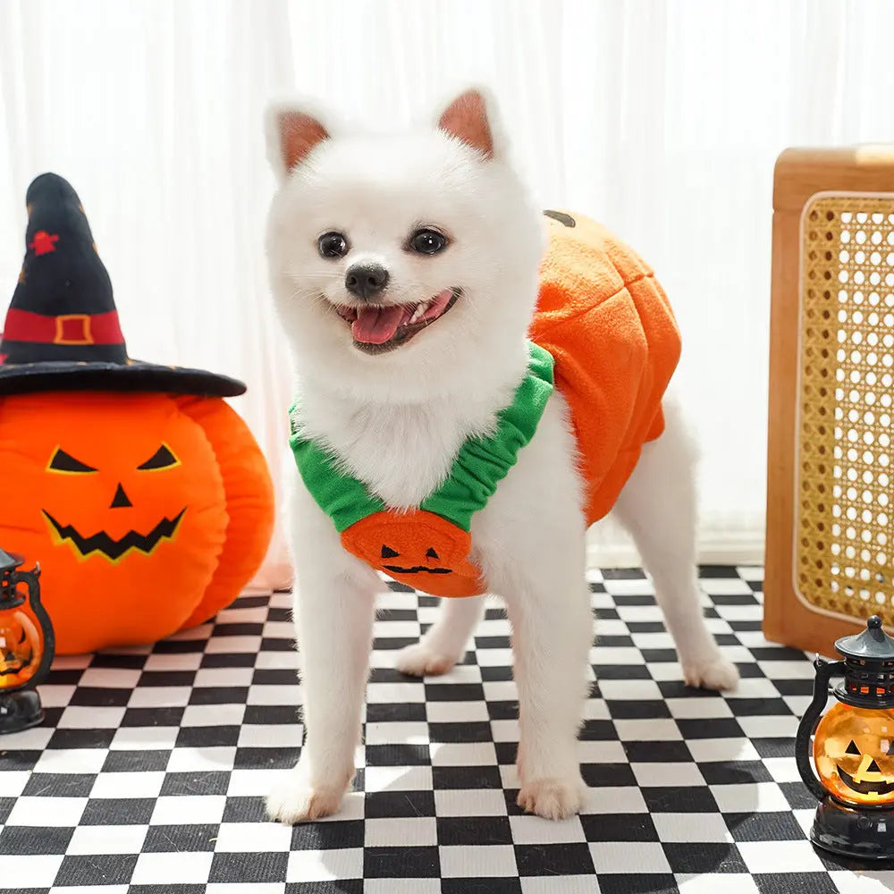Petrkl™ Pumpkin Pet Halloween Costume Petrkl