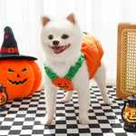 Petrkl™ Pumpkin Pet Halloween Costume Petrkl