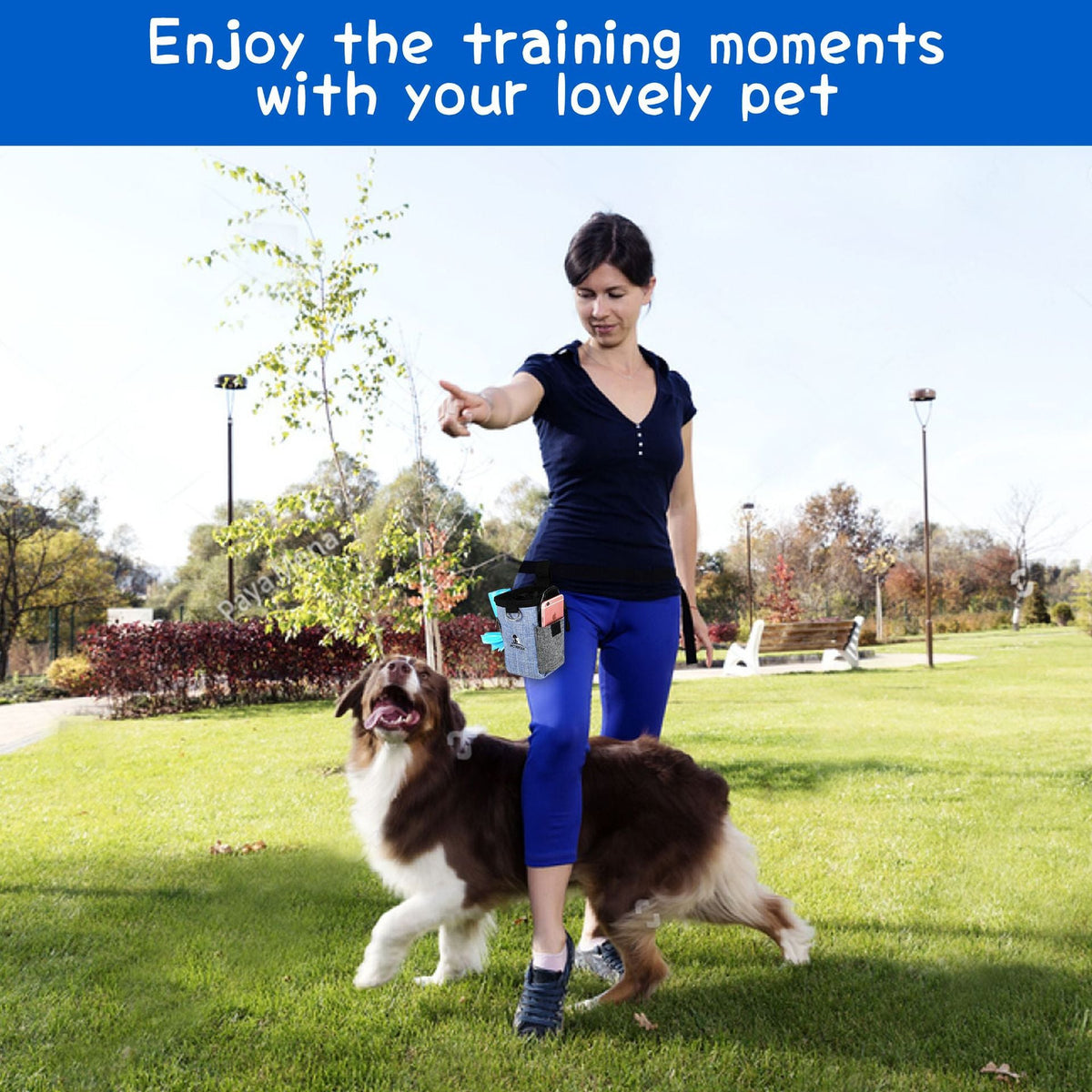 Dog Treat Pouch + Free Collapsible Bowl Petrkl