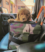 Dog Pet Carrier Bag – Airline Approved & Foldable Petrkl