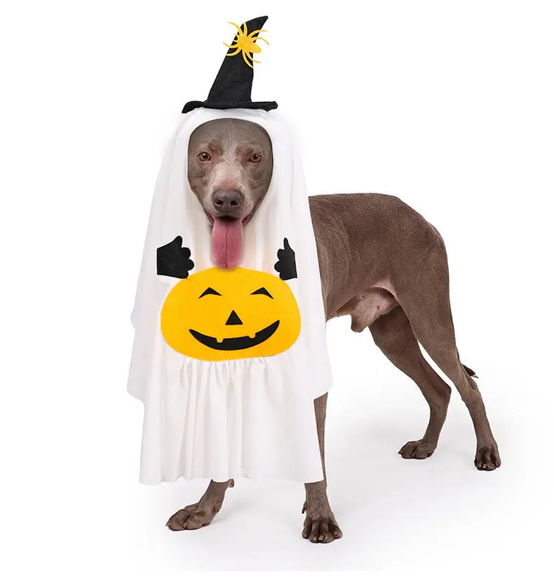 Petrkl™ Pumpkin Ghost Dog Costume Petrkl