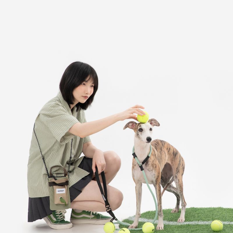 Petrkl™ CommandLead – Slip Dog Leash for Training & Outdoor Control PETRKL