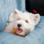 Cooling Travel Bolster Safety Back Seat Large Dog Car Bed PETRKL