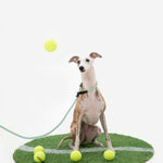 Petrkl™ CommandLead – Slip Dog Leash for Training & Outdoor Control PETRKL