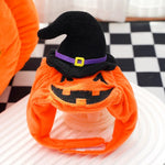 Petrkl™ Pumpkin Pet Halloween Costume Petrkl
