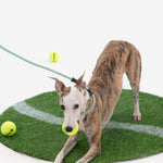 Petrkl™ CommandLead – Slip Dog Leash for Training & Outdoor Control PETRKL