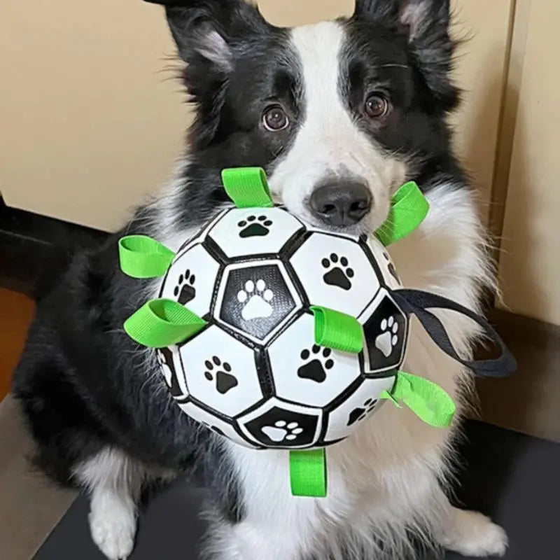 Petrkl™ PawKick – Interactive Dog Soccer Ball with Straps Petrkl