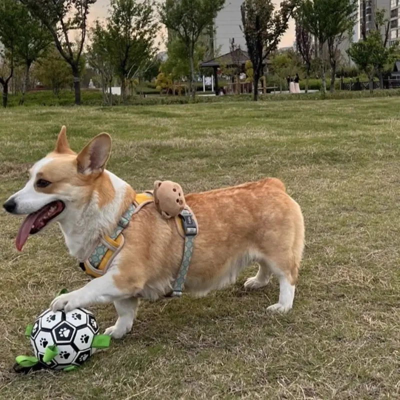 Petrkl™ PawKick – Interactive Dog Soccer Ball with Straps Petrkl