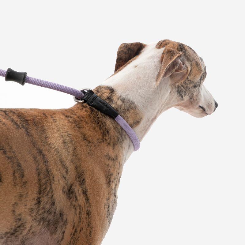 Petrkl™ CommandLead – Slip Dog Leash for Training & Outdoor Control PETRKL