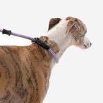 Petrkl™ CommandLead – Slip Dog Leash for Training & Outdoor Control PETRKL