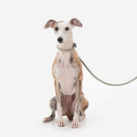 Petrkl™ CommandLead – Slip Dog Leash for Training & Outdoor Control PETRKL