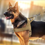 Tactical Dog Harness for Large Dogs – Anti-Pull & Reflective Petrkl