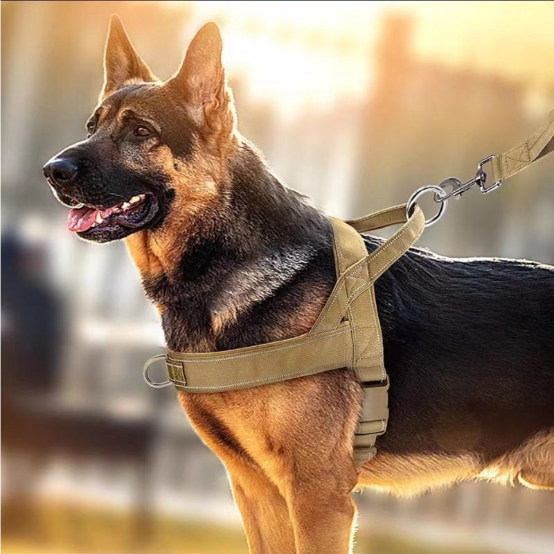 Tactical Dog Harness for Large Dogs – Anti-Pull & Reflective Petrkl
