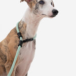 Petrkl™ CommandLead – Slip Dog Leash for Training & Outdoor Control PETRKL