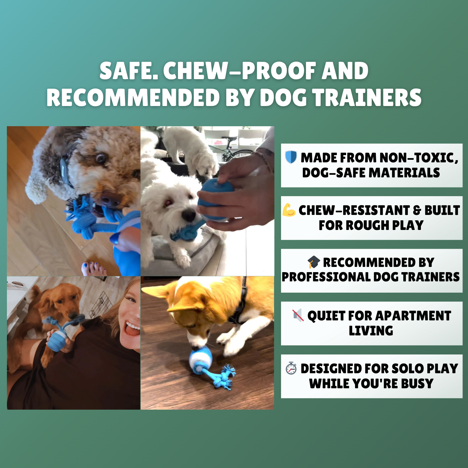 The Chase Buddy™ – Keep Your Dog Calm, Engaged & Satisfied (Even When You’re Busy) PETRKL