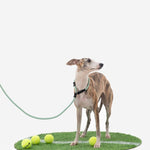 Petrkl™ CommandLead – Slip Dog Leash for Training & Outdoor Control PETRKL