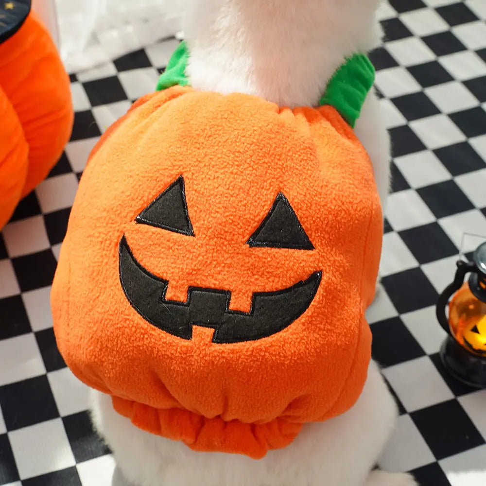 Petrkl™ Pumpkin Pet Halloween Costume Petrkl
