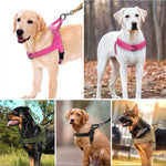 Tactical Dog Harness for Large Dogs – Anti-Pull & Reflective Petrkl