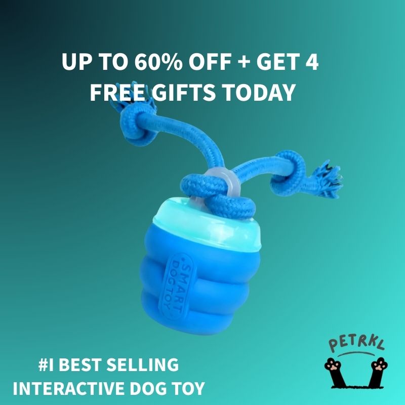 The Chase Buddy™ – Keep Your Dog Calm, Engaged & Satisfied (Even When You’re Busy) PETRKL