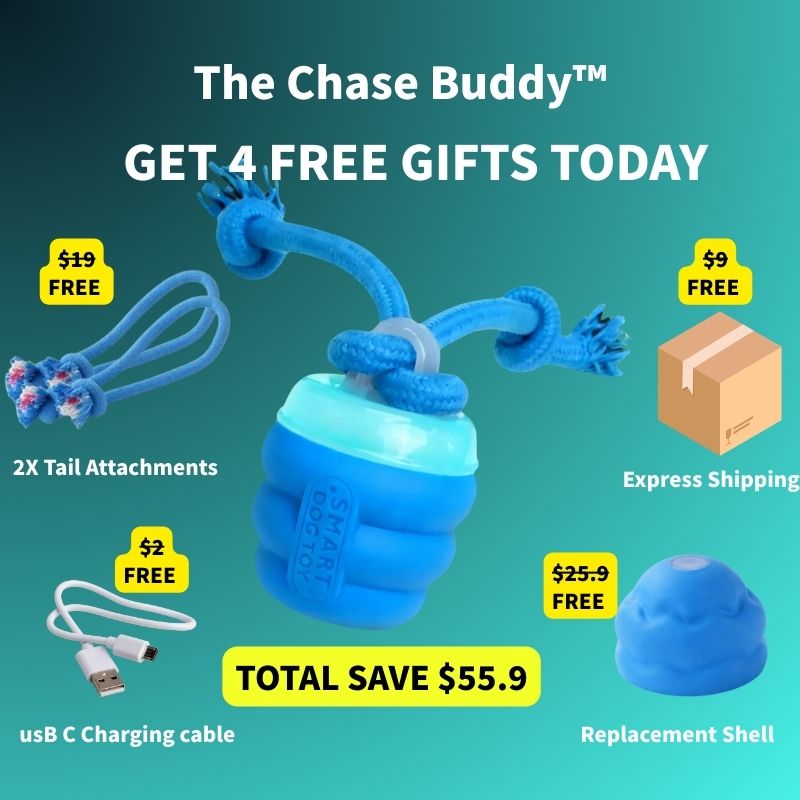 The Chase Buddy™ – Keep Your Dog Calm, Engaged & Satisfied (Even When You’re Busy) PETRKL