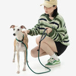 Petrkl™ CommandLead – Slip Dog Leash for Training & Outdoor Control  Petrkl  .