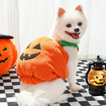 Petrkl™ Pumpkin Pet Halloween Costume Petrkl