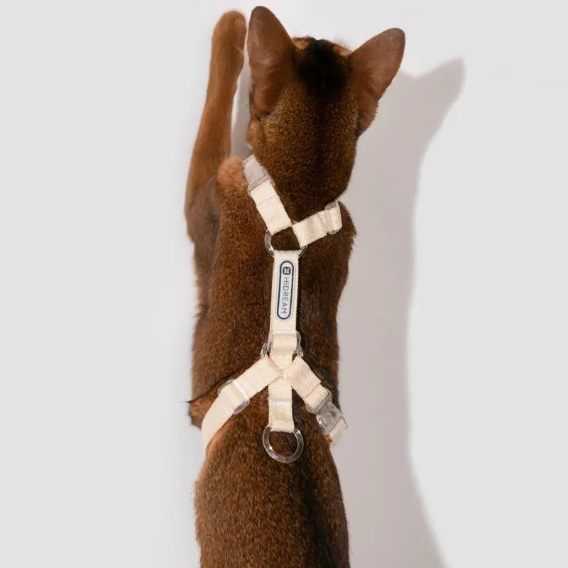 Adjustable Cat Harness & Leash Set  beige cat 3