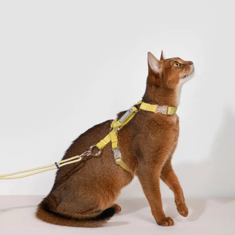 Adjustable Cat Harness & Leash Set cat yellow