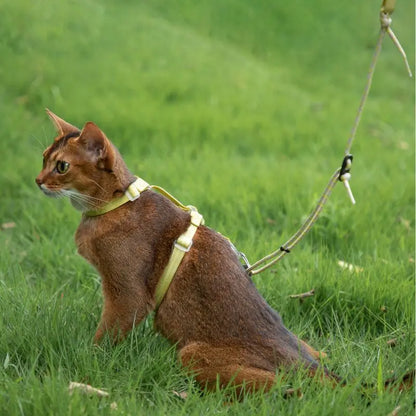 Adjustable Cat Harness & Leash Set cat yellow outside