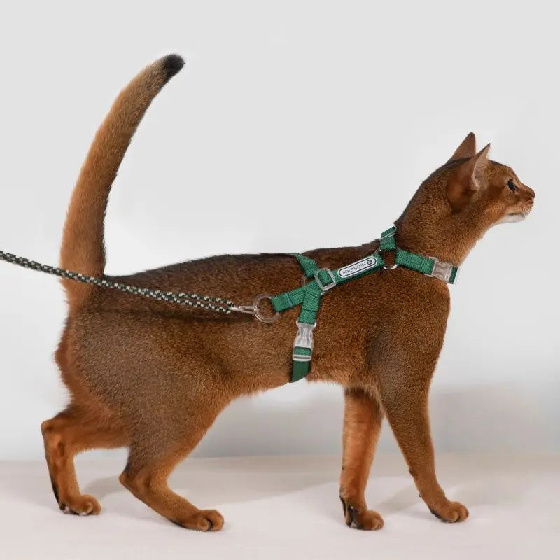 Adjustable Cat Harness & Leash Set  dark cat