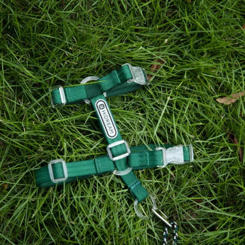 Adjustable Cat Harness & Leash Set  dark green outside