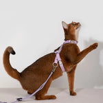 Adjustable Cat Harness & Leash Set  pink cat2