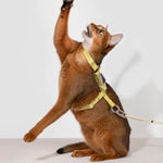 Adjustable Cat Harness & Leash Set  Petrkl  .