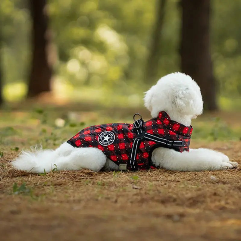 Christmas Waterproof Dog Coat with Harness Warm Padded Winter Jacket for Small Dogs Petrkl