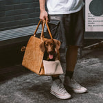 Dog Car Bed & Travel Carrier – EcoRoam Multi‑Functional Dog Travel Bag  Petrkl  .