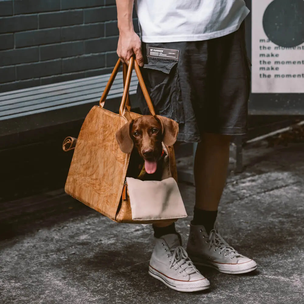 Dog Car Bed & Travel Carrier – EcoRoam Multi‑Functional Dog Travel Bag  Petrkl  .