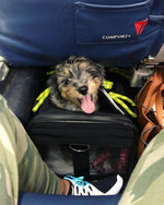 Dog Pet Carrier Bag – Airline Approved & Foldable Petrkl 14