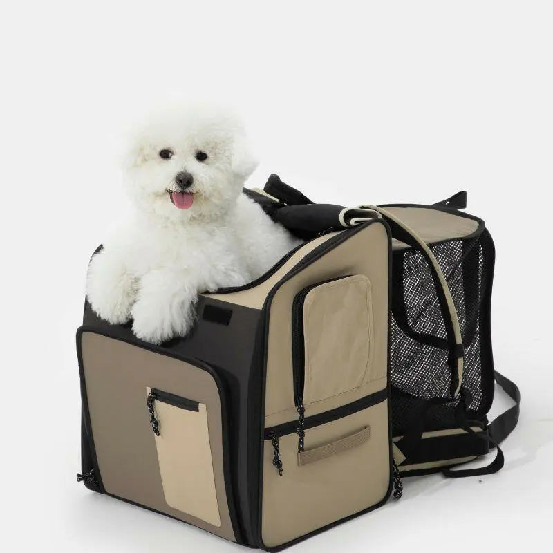 Dog resting inside breathable foldable travel bag