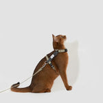 Eco-Friendly Cat Harness & Leash Set  Petrkl  .