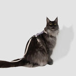 Eco-Friendly Cat Harness & Leash Set  Petrkl  .